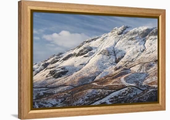 A scene from Borrowdale, Lake District National Park, Cumbria, England, United Kingdom, Europe-Jon Gibbs-Framed Premier Image Canvas