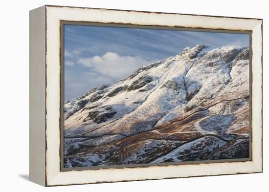 A scene from Borrowdale, Lake District National Park, Cumbria, England, United Kingdom, Europe-Jon Gibbs-Framed Premier Image Canvas
