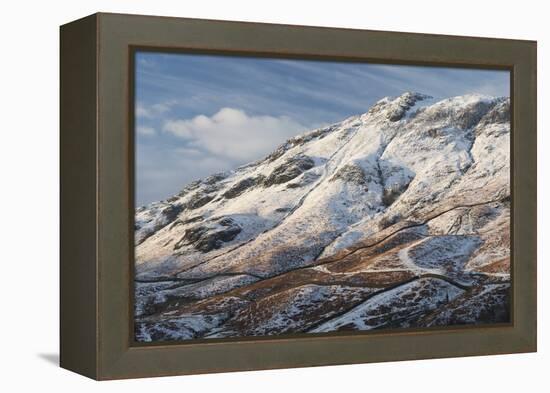 A scene from Borrowdale, Lake District National Park, Cumbria, England, United Kingdom, Europe-Jon Gibbs-Framed Premier Image Canvas