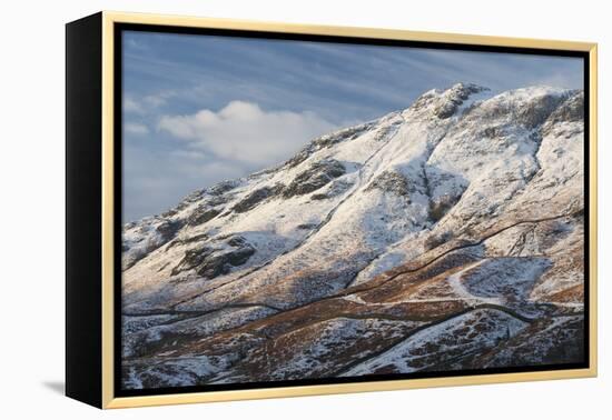 A scene from Borrowdale, Lake District National Park, Cumbria, England, United Kingdom, Europe-Jon Gibbs-Framed Premier Image Canvas