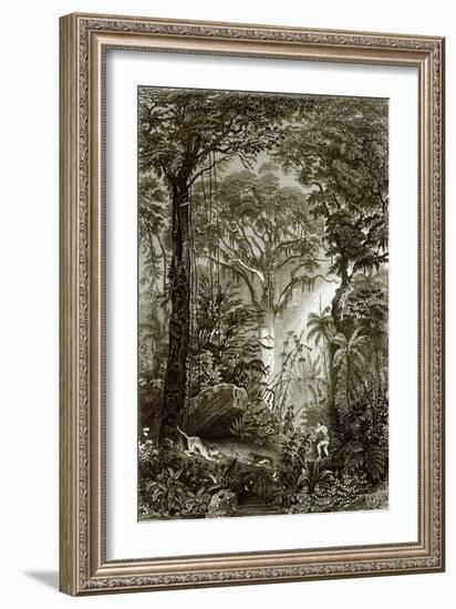 A Scene in the Brazilian Forest-English-Framed Giclee Print