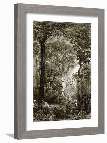 A Scene in the Brazilian Forest-English-Framed Giclee Print