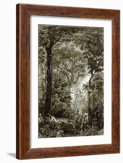 A Scene in the Brazilian Forest-English-Framed Giclee Print