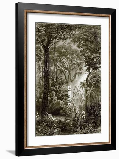 A Scene in the Brazilian Forest-English-Framed Giclee Print