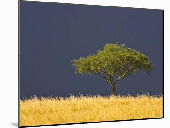 A Scenic View of The Mara, Maasai Mara, Kenya-Joe Restuccia III-Mounted Photographic Print