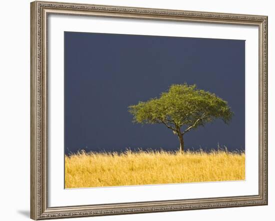 A Scenic View of The Mara, Maasai Mara, Kenya-Joe Restuccia III-Framed Photographic Print