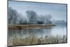 A Scenic View Shows Frosty Conditions at Cotswold Water Park-Charles Bowman-Mounted Photographic Print