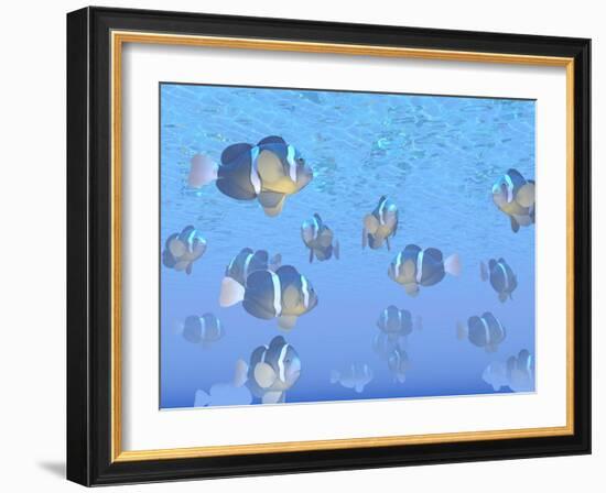 A School of Clownfish Swimming in the Sea-null-Framed Art Print