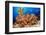 A school of Shoulderbar soldierfish, Hawaii-David Fleetham-Framed Photographic Print