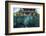 A School of Silversides Beneath a Wooden Jetty in Raja Ampat, Indonesia-Stocktrek Images-Framed Photographic Print