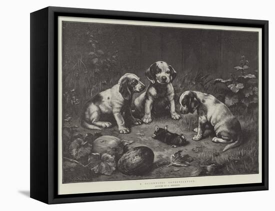 A Scientific Investigation-Carl Reichert-Framed Premier Image Canvas