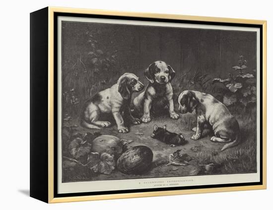 A Scientific Investigation-Carl Reichert-Framed Premier Image Canvas