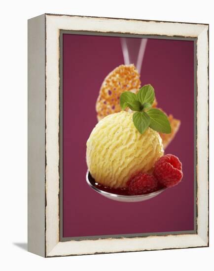 A Scoop of Vanilla Ice Cream with Hot Raspberries on a Spoon-Marc O^ Finley-Framed Premier Image Canvas