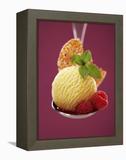 A Scoop of Vanilla Ice Cream with Hot Raspberries on a Spoon-Marc O^ Finley-Framed Premier Image Canvas
