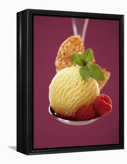 A Scoop of Vanilla Ice Cream with Hot Raspberries on a Spoon-Marc O^ Finley-Framed Premier Image Canvas