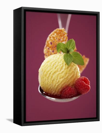 A Scoop of Vanilla Ice Cream with Hot Raspberries on a Spoon-Marc O^ Finley-Framed Premier Image Canvas