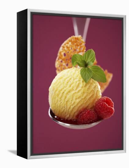 A Scoop of Vanilla Ice Cream with Hot Raspberries on a Spoon-Marc O^ Finley-Framed Premier Image Canvas