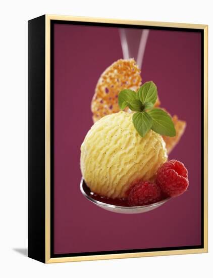 A Scoop of Vanilla Ice Cream with Hot Raspberries on a Spoon-Marc O^ Finley-Framed Premier Image Canvas