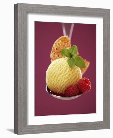 A Scoop of Vanilla Ice Cream with Hot Raspberries on a Spoon-Marc O^ Finley-Framed Photographic Print