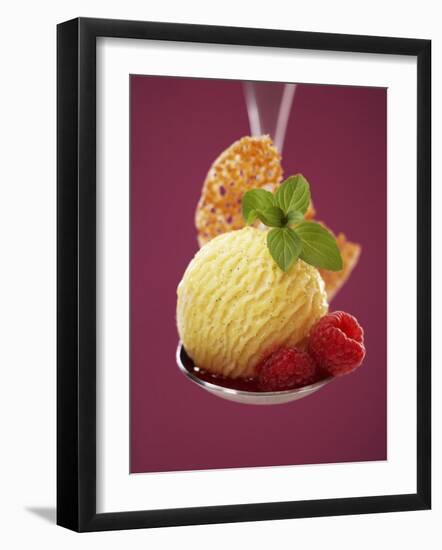 A Scoop of Vanilla Ice Cream with Hot Raspberries on a Spoon-Marc O^ Finley-Framed Photographic Print