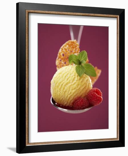 A Scoop of Vanilla Ice Cream with Hot Raspberries on a Spoon-Marc O^ Finley-Framed Photographic Print