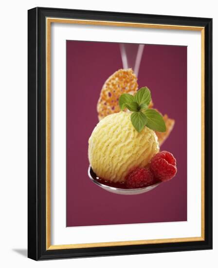 A Scoop of Vanilla Ice Cream with Hot Raspberries on a Spoon-Marc O^ Finley-Framed Photographic Print