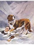 Saint Bernard Finds a Man Trapped in the Snow-A. Scott Rankin-Premier Image Canvas