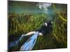 A Scuba Diver Swims Through an Underwater Field of Tape Grass-null-Mounted Art Print