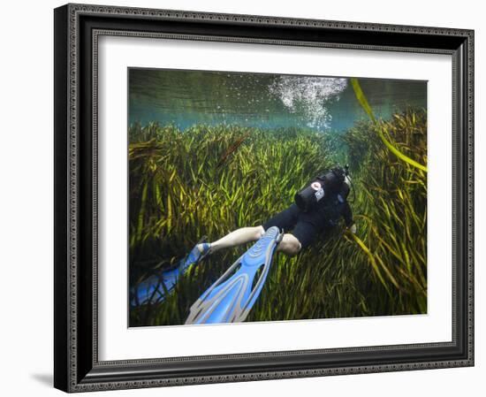 A Scuba Diver Swims Through an Underwater Field of Tape Grass-null-Framed Art Print