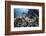 A Sea Cucumber Clings to a Reef in Alor, Indonesia-Stocktrek Images-Framed Photographic Print