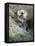 A Sea Otter Looks out from Behind a Rock-null-Framed Premier Image Canvas