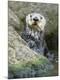 Premium Photographic Print