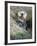 A Sea Otter Looks out from Behind a Rock-null-Framed Photographic Print