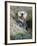 A Sea Otter Looks out from Behind a Rock-null-Framed Photographic Print