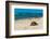 A sea turtle making its way up a beach to dig a nest and lay eggs. Grand Anse Beach, Seychelles.-Sergio Pitamitz-Framed Photographic Print