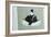 A seated dignitary, Japanese painting. Artist: Unknown-Unknown-Framed Giclee Print