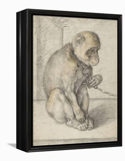 A Seated Monkey on a Chain, 1592-1602-Hendrik Goltzius-Framed Premier Image Canvas