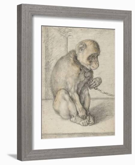 A Seated Monkey on a Chain, 1592-1602-Hendrik Goltzius-Framed Giclee Print