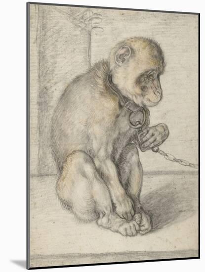 A Seated Monkey on a Chain, 1592-1602-Hendrik Goltzius-Mounted Giclee Print