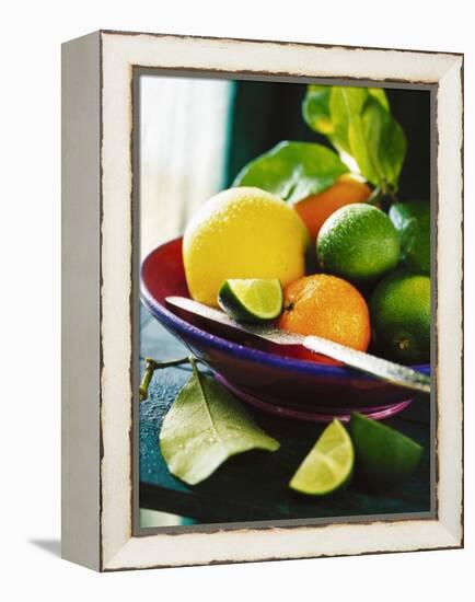 A Selection of Citrus Fruits in a Bowl-null-Framed Premier Image Canvas