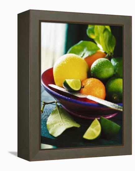 A Selection of Citrus Fruits in a Bowl-null-Framed Premier Image Canvas