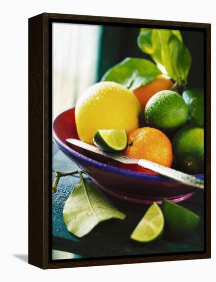 A Selection of Citrus Fruits in a Bowl-null-Framed Premier Image Canvas