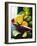 A Selection of Citrus Fruits in a Bowl-null-Framed Photographic Print