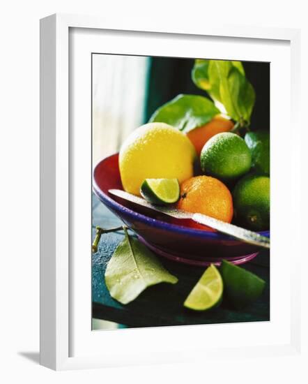 A Selection of Citrus Fruits in a Bowl-null-Framed Photographic Print