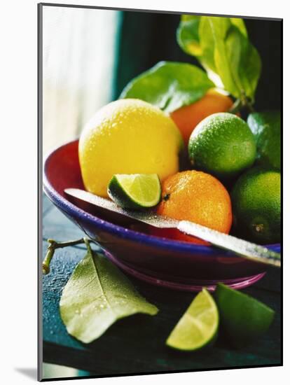 A Selection of Citrus Fruits in a Bowl-null-Mounted Photographic Print