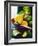 A Selection of Citrus Fruits in a Bowl-null-Framed Photographic Print