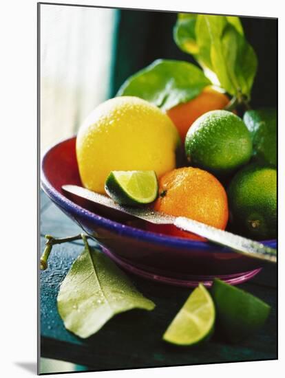 A Selection of Citrus Fruits in a Bowl-null-Mounted Photographic Print