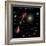 A Selection of Galaxies Shown to the Same Scale-null-Framed Photographic Print