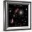 A Selection of Galaxies Shown to the Same Scale-null-Framed Photographic Print