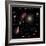 A Selection of Galaxies Shown to the Same Scale-null-Framed Photographic Print